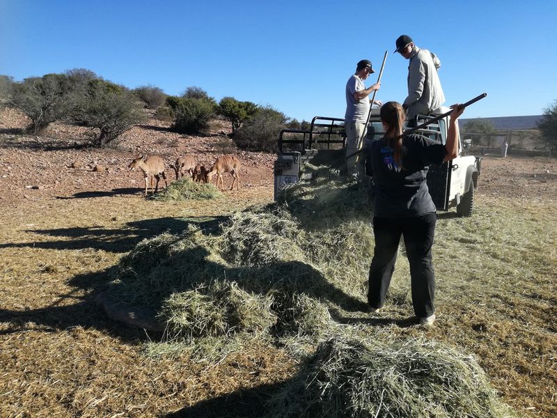 African Wildlife Experience | África do Sul