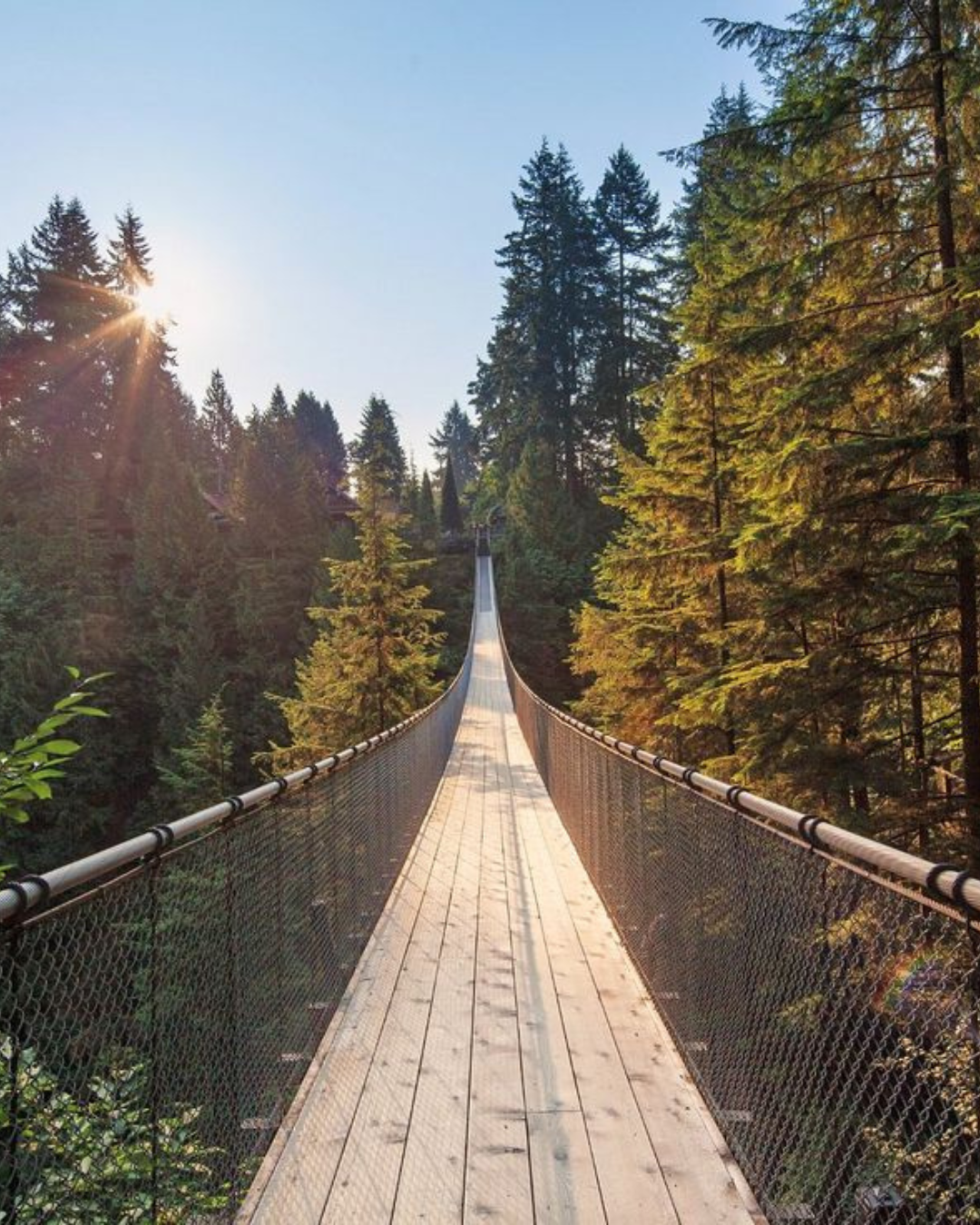 Capilano Suspension Bridge