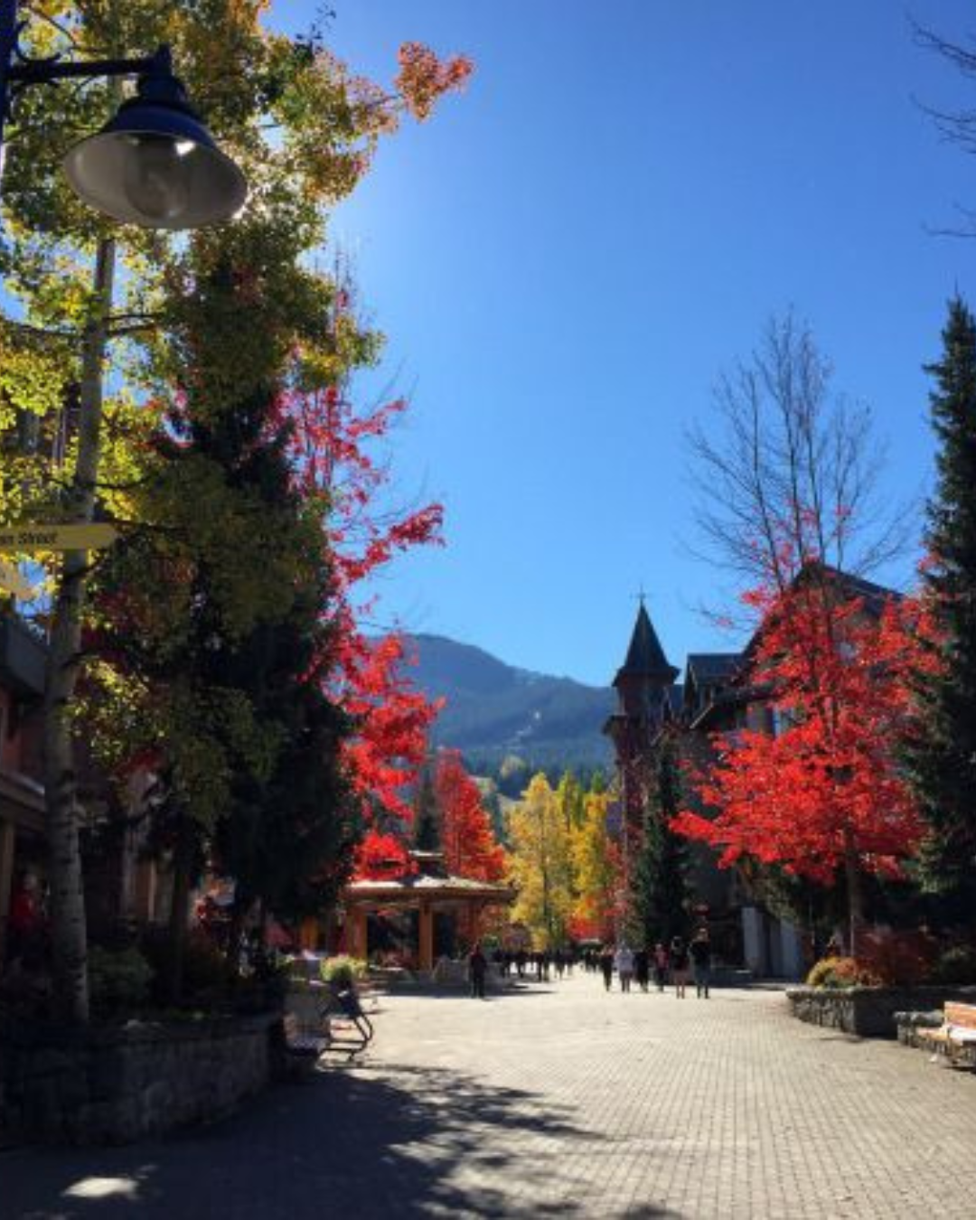 Whistler