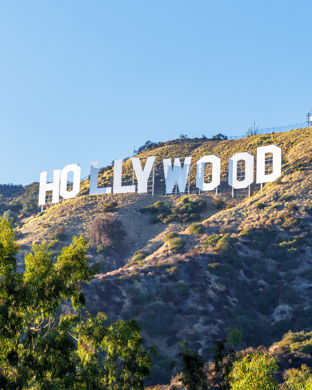 Hollywood
