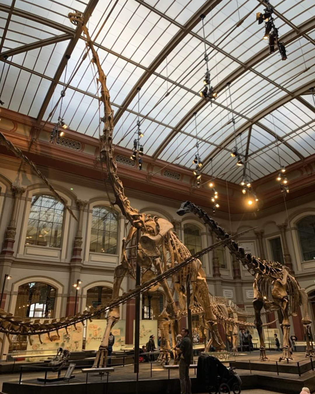 Natural History Museum