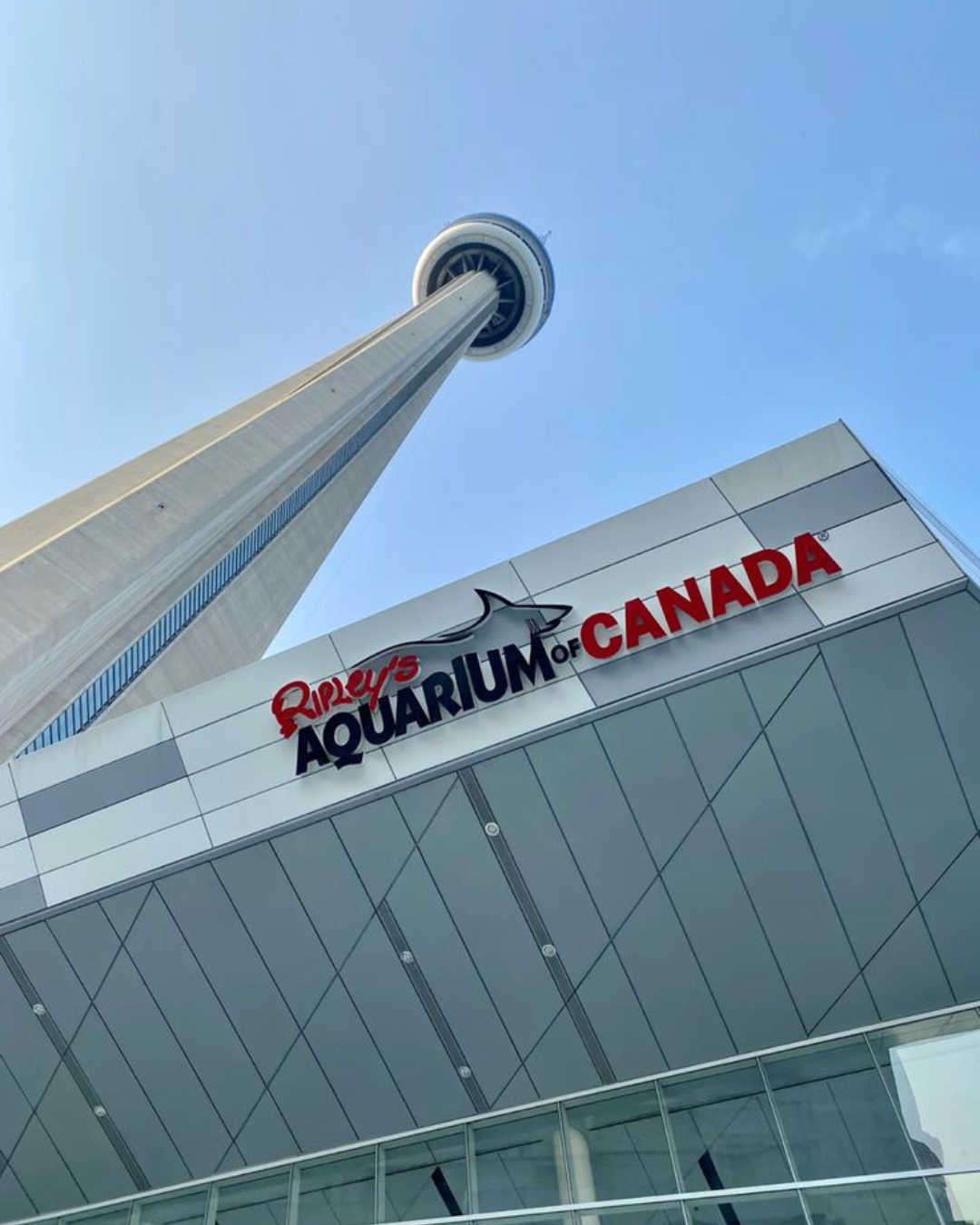 Ripley’s Aquarium