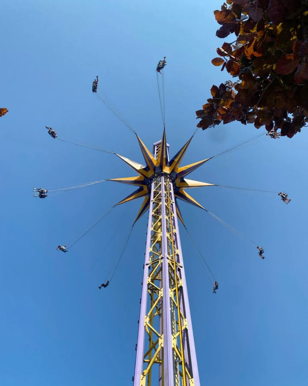 Playland