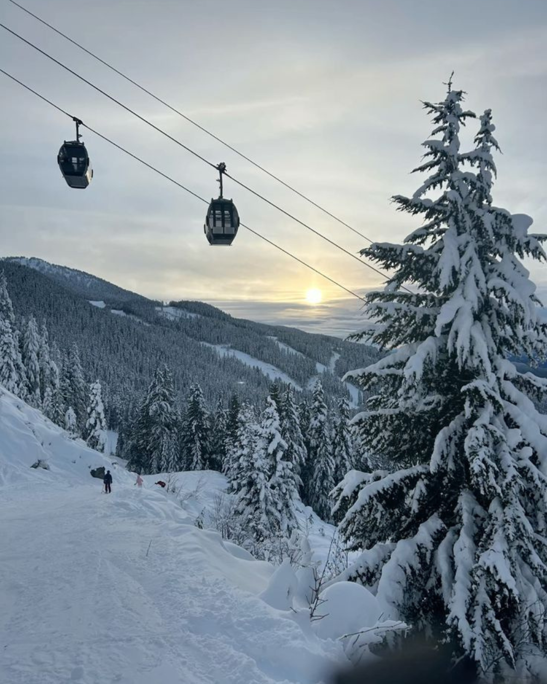 Grouse Mountain