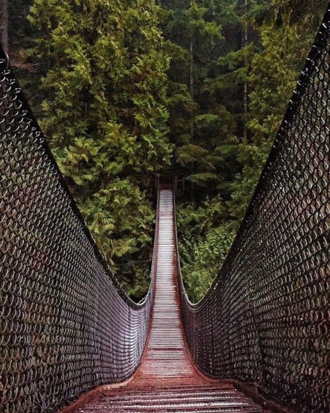 Capilano Suspension Bridge