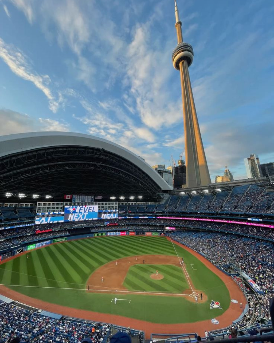 Blue Jays Baseball Game