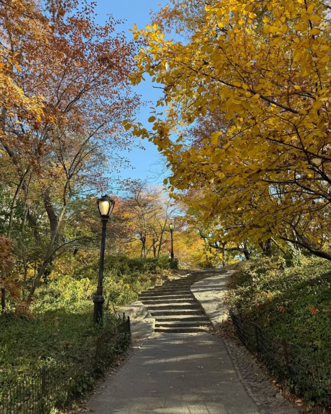 Central Park