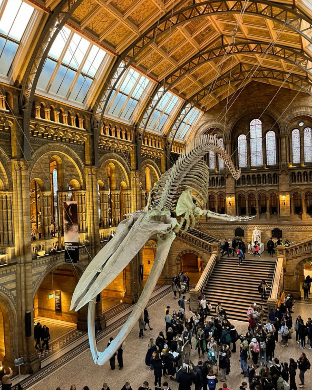 Natural History Museum