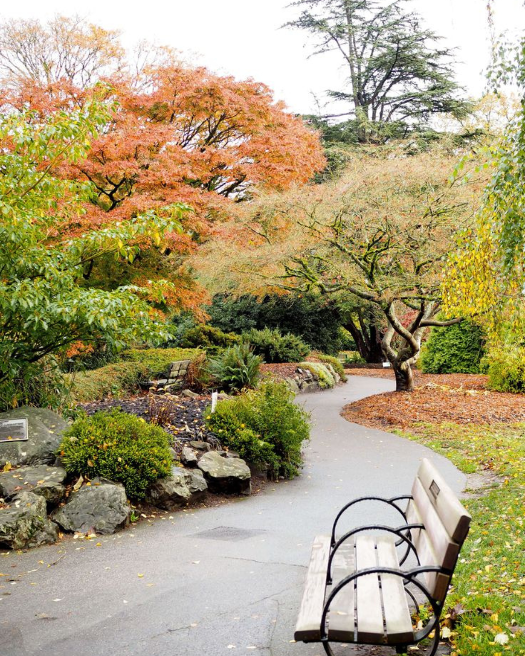 Queen Elizabeth Park