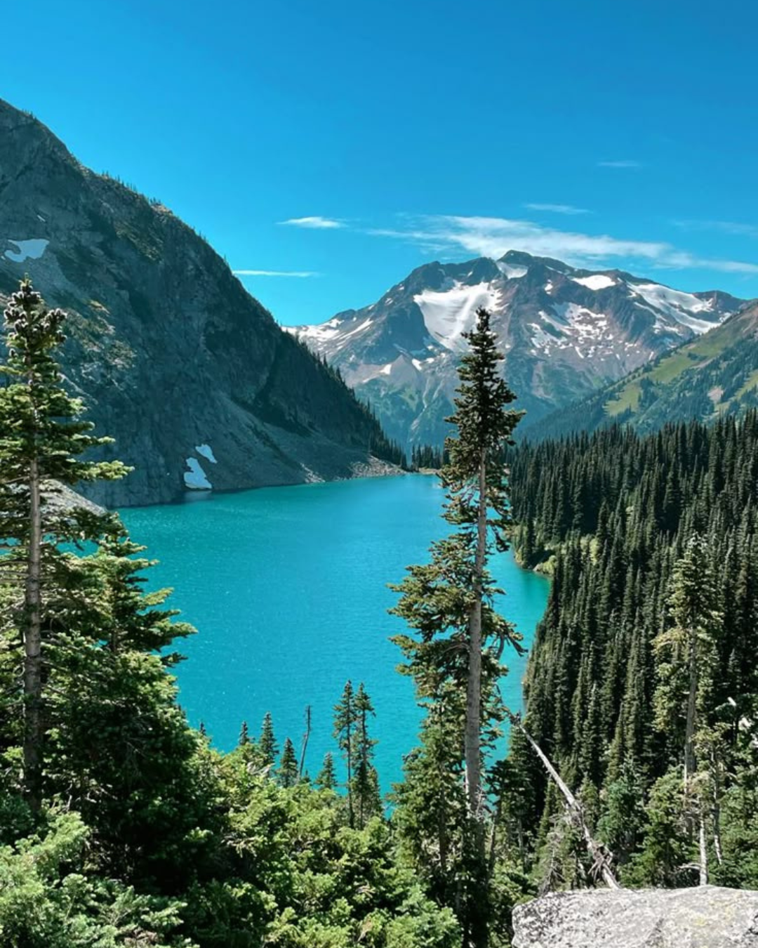 Whistler
