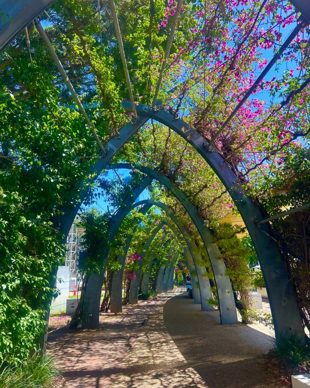 South Bank Parkland & The Wheel of Brisbane