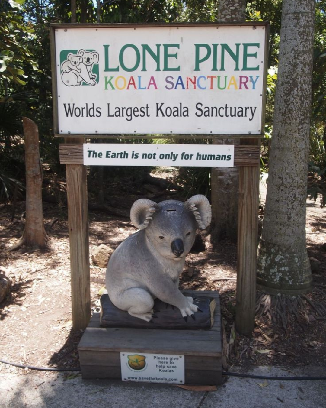 Lone Pine Koala Sanctuary