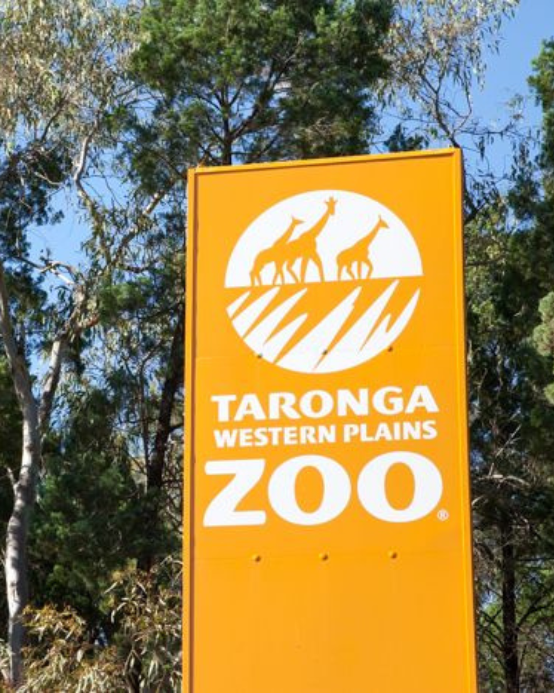 Taronga Zoo