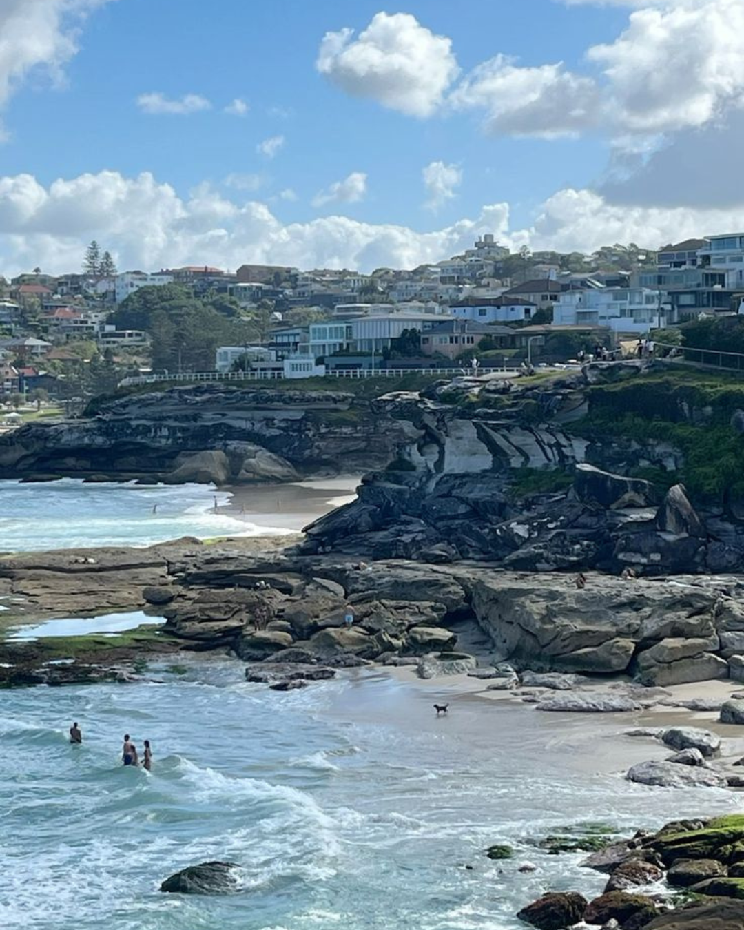 Bronte to Bondi Coastal Walk