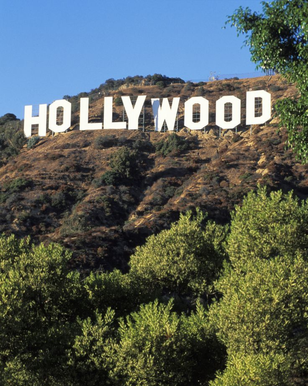 Griffith Park & Hollywood