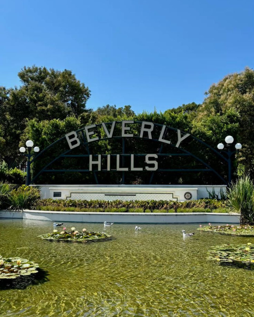 Beverly Hills & Santa Monica