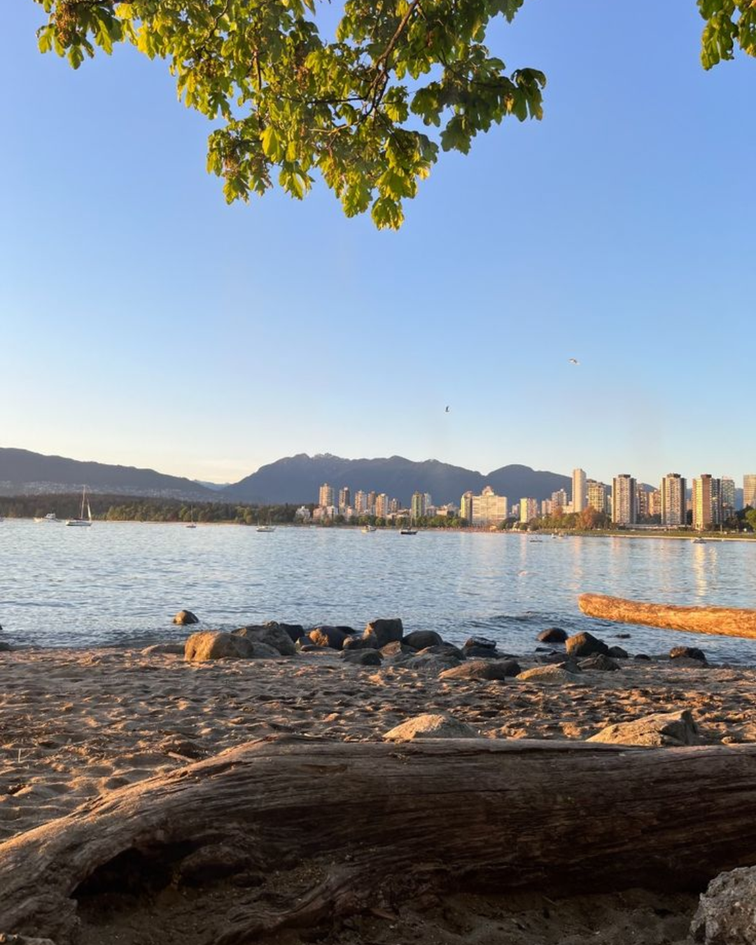 Kitsilano Beach